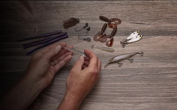 January's Popular Picks